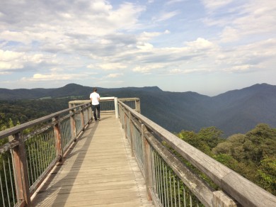 Dorrigo Rainforest Skyview